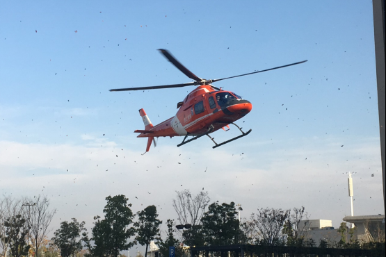 吉年末大型车展