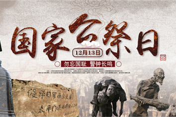 开沃新能源服务国家