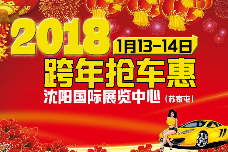 1月13-14沈阳车展 10