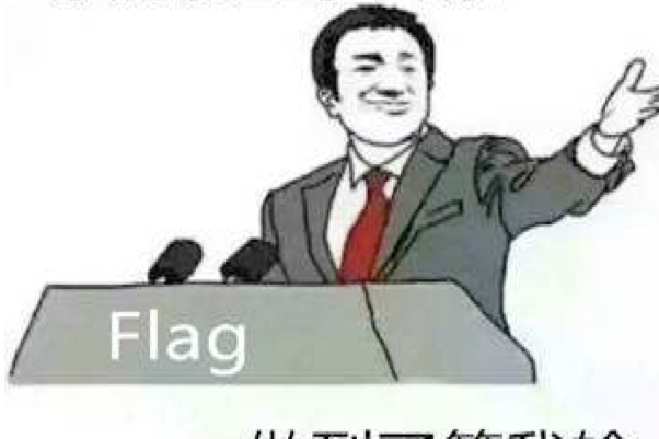 如果来得及，立个fla