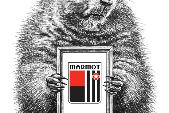 土拨鼠MARMOT析共享