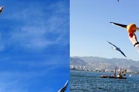 我在昆明看海观鸥