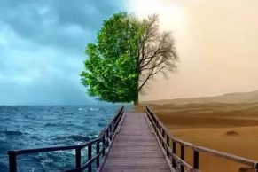 豪骏行玛莎拉蒂