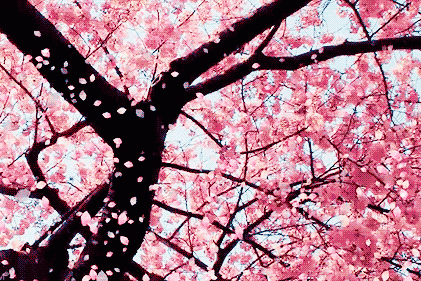 俪业别克3.15春季大