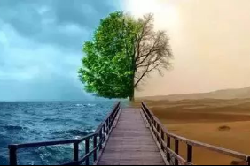 北京豪骏行阿尔法罗