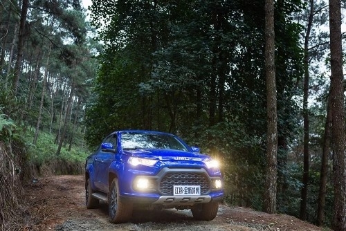 域虎穿越边防巡逻路 