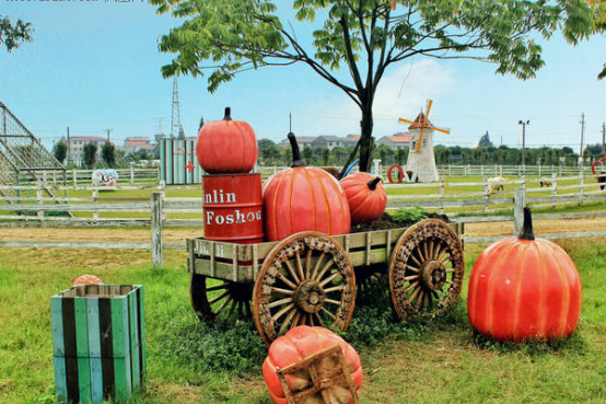 宝顺亲子活动招募中