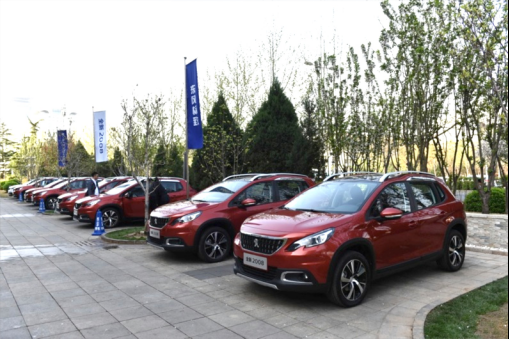 能言善道小狮子