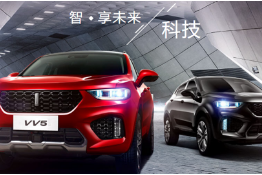 WEY VV5 始于颜值 忠