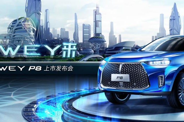 江苏宁枫 WEY P8南京