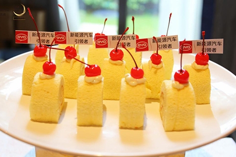 比亚迪MAX幸福嘉年华