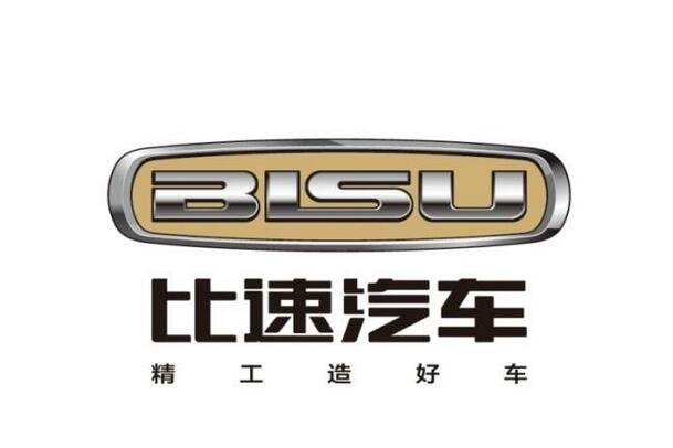 自主品牌的后来者