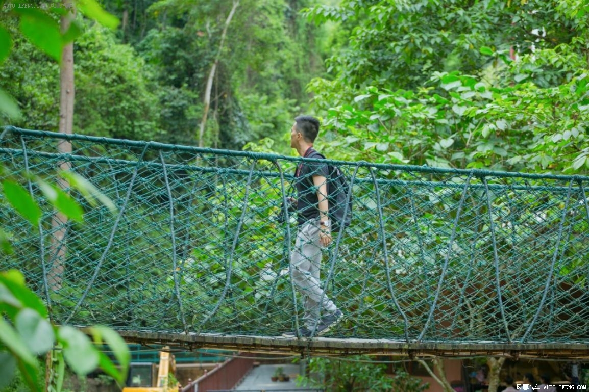 舌尖上的维特拉