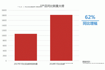 比亚迪靠什么成功？