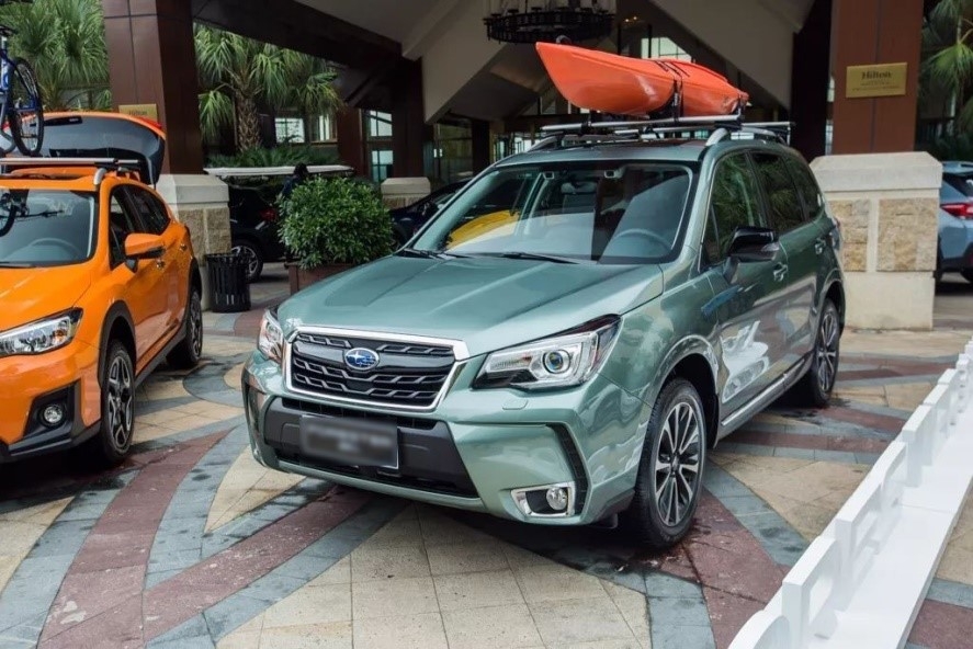 天地任我驰骋，与斯