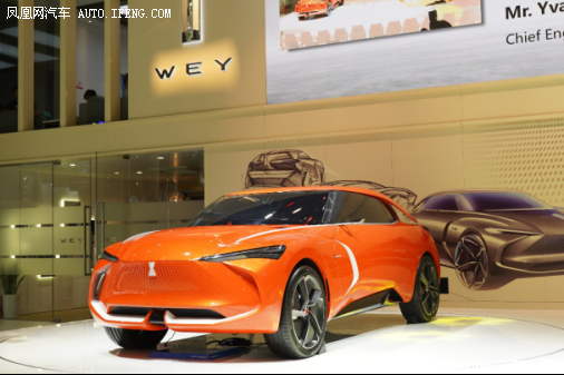WEY-X 智驭WEY来