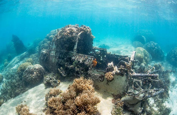 前去考察二戰中被美軍擊沉的日軍最大戰列艦