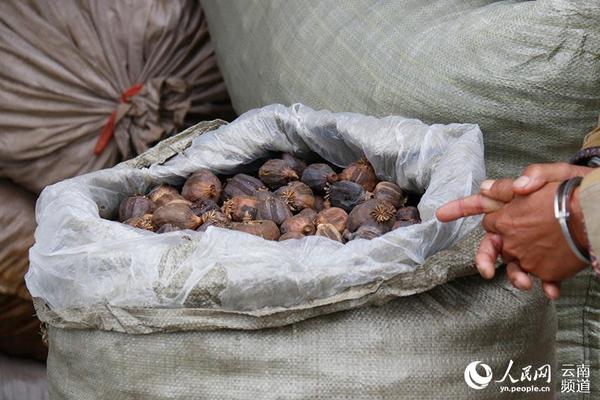 云南腾冲警方查获769公斤罂粟壳(图)