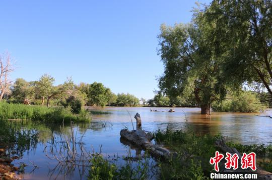 圖為阿勒泰克蘭河沿岸獨有的溼地河谷風光. 耿丹丹 攝