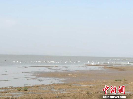 内蒙古察右前旗黄旗海综合治理办公室提供