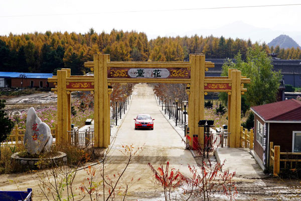 蒲洼乡东村秋景美空气新