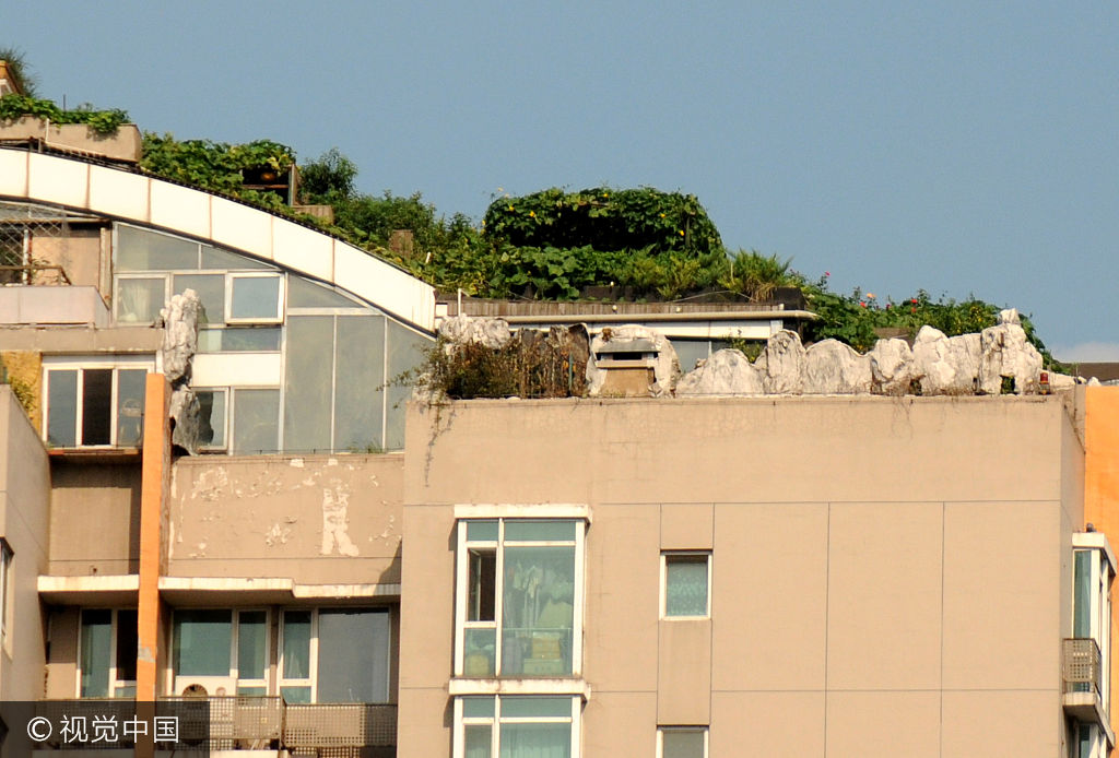 昨天有市民反映,曾引起轰动的人济山庄"空中别墅",楼顶竟然又见绿.