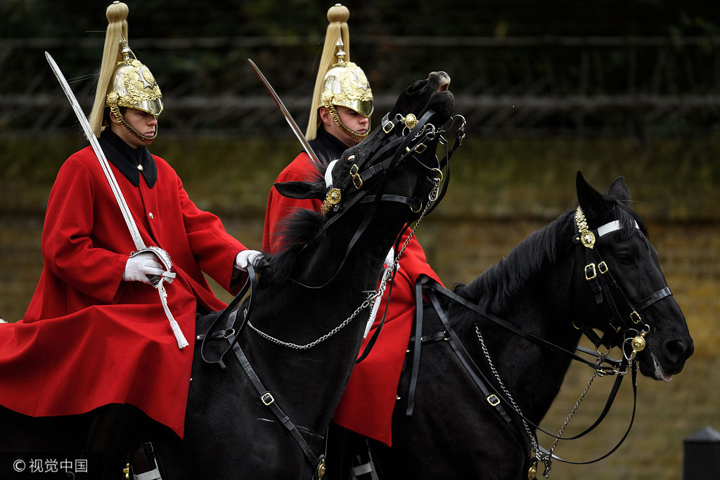英国皇家乘骑炮兵团庆查尔斯王子69岁生日