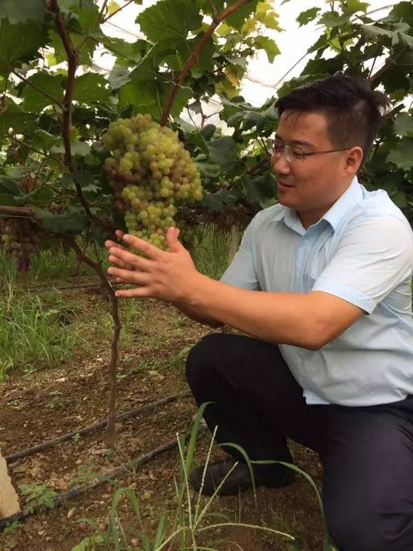 清新十五年有你曾维康扎根基层我与海城的故事