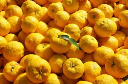 好柚柚子茶以韩国柚子为生产原料,经过独特的生产加工,制作出香气宜人