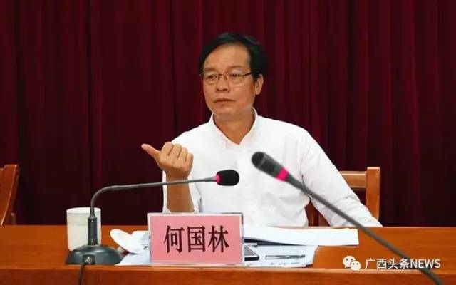 集团有限公司原党委书记,董事长何国林(正厅级)涉嫌受贿罪立案侦查,并