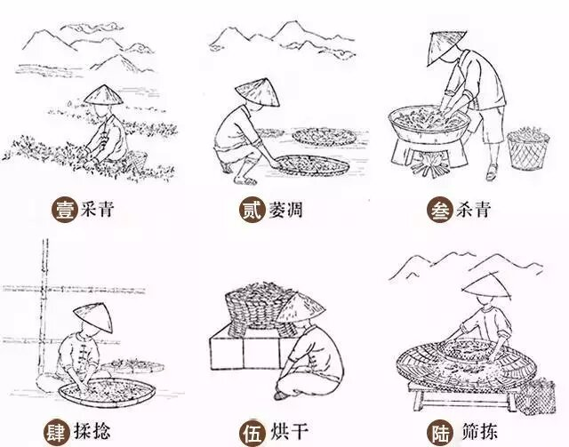 2017阿斯塔纳世博会指定茶叶供应商-武夷山正峰茶叶有限公司