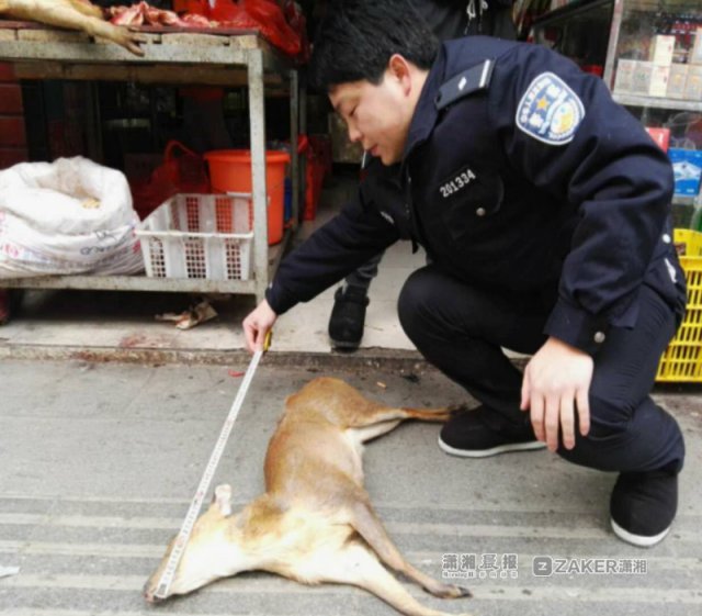 店铺非法收购出售野生动物被群众举报 警方已查处