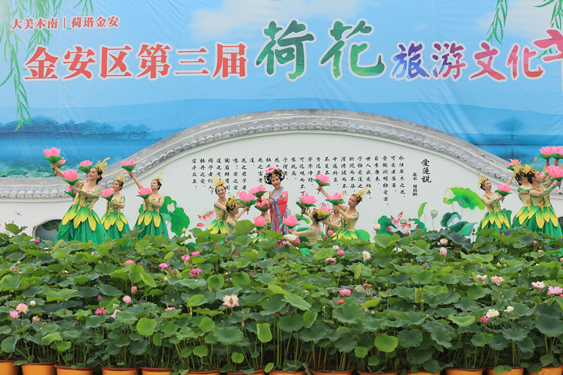 也是夏季重要的主题宣传活动,每年的荷花节都与扶贫,农业等相融合