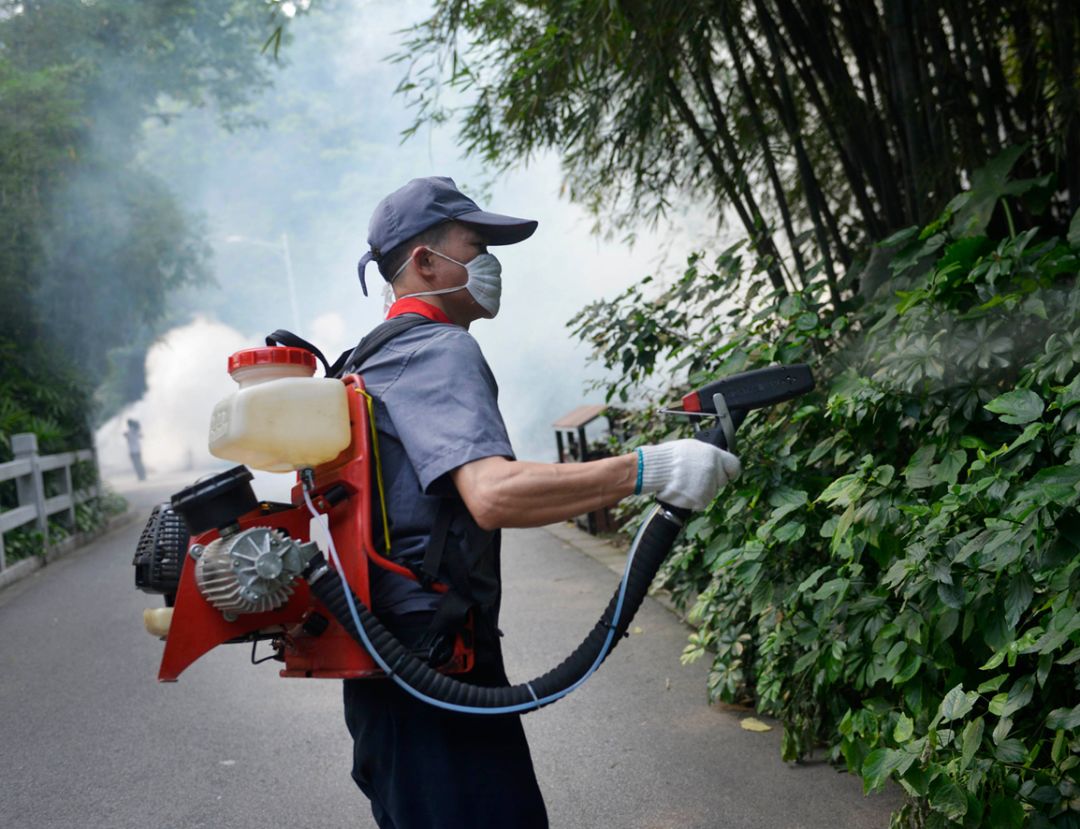 统一灭蚊,怎么灭?