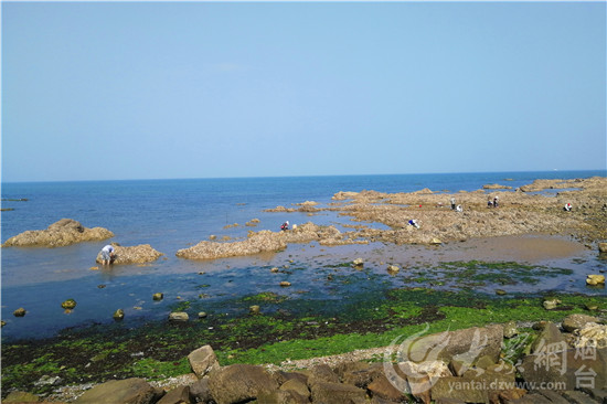 台风过后高温来袭 镜头记录烈日下的烟台