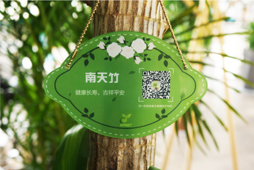 万植通植物标牌被广泛运用认识植物超轻松