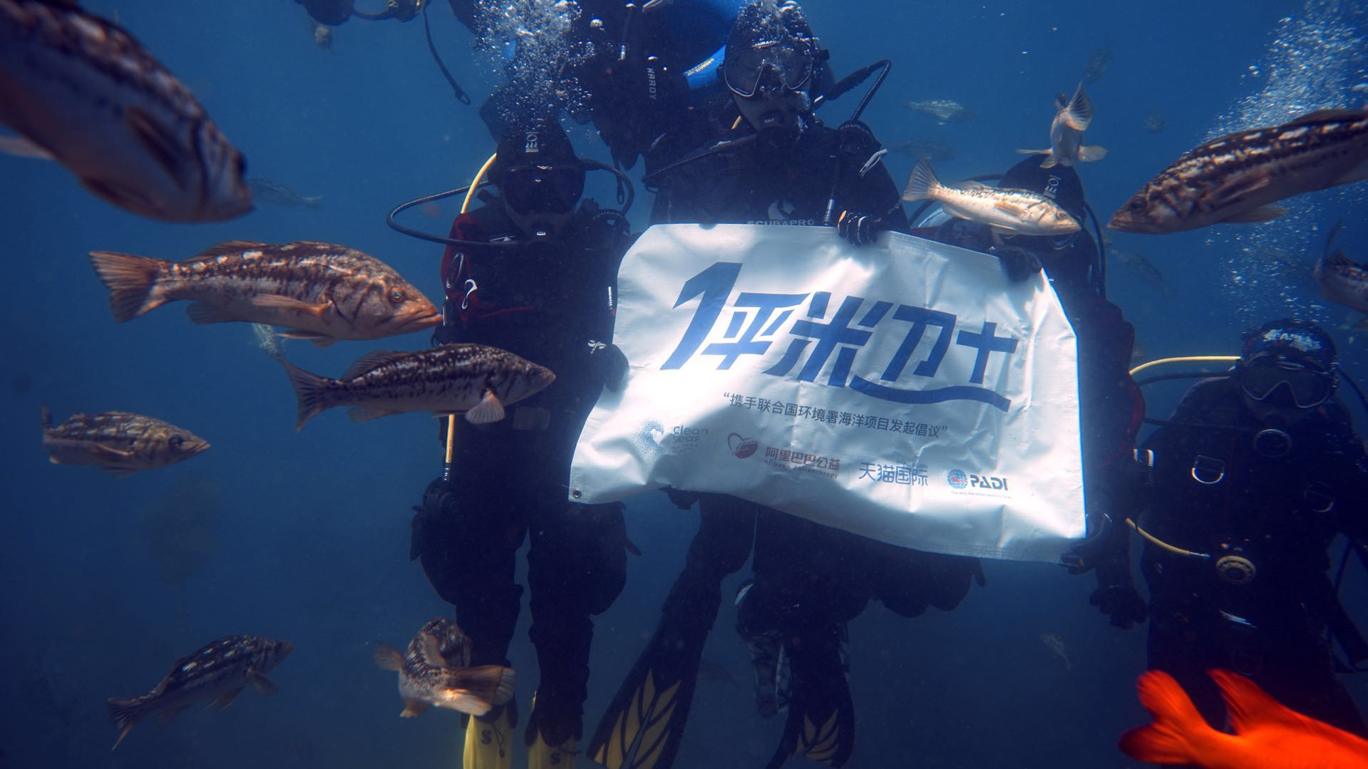 padi携手天猫国际和联合国环境署开展一平米卫士行动海洋珊瑚保护无