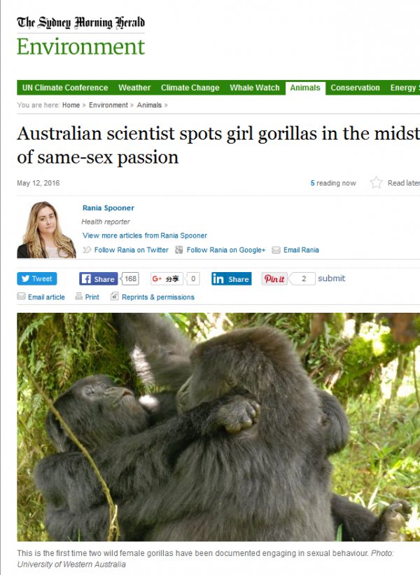 生物学家发现这两只雌性大猩猩在羞羞图