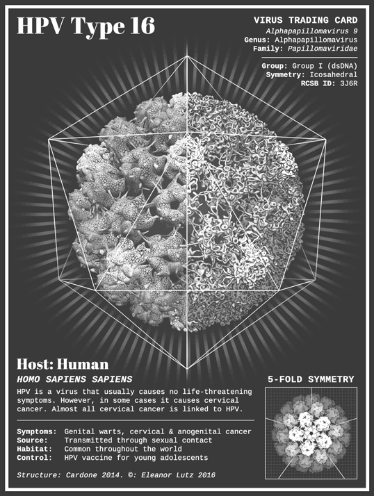 你在"淘宝" 的时候,这位妹纸做出了一个酷炫到爆炸的科学博客_手机
