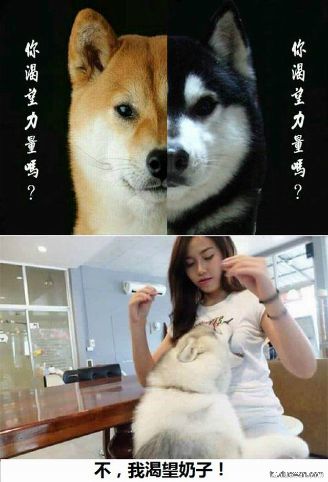 [囧图]看到这发型 我不禁陷入了深深的沉思|36图