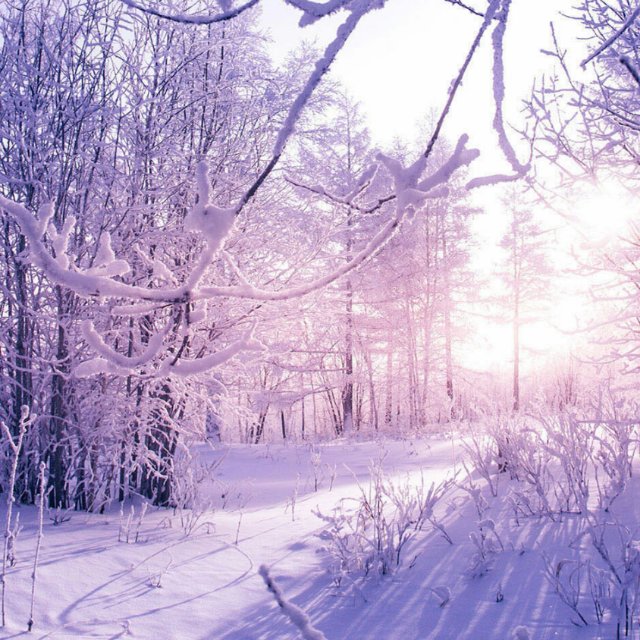 都是奔驰大g,价格相差100万,g500和g63究竟有何区别