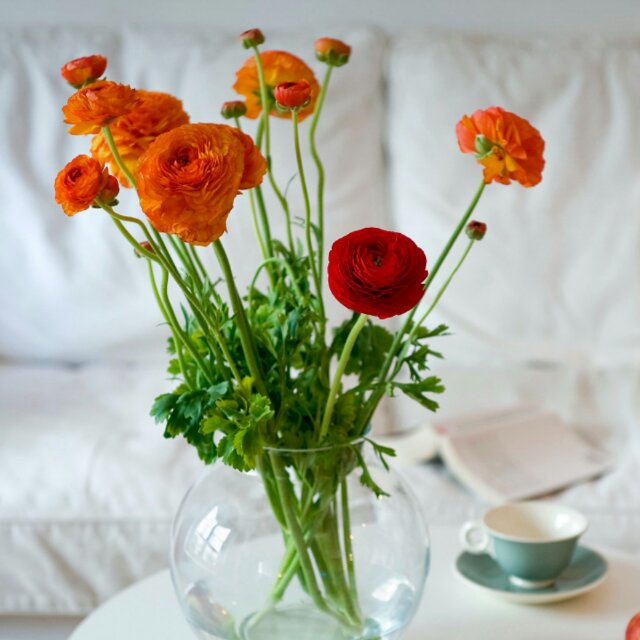 《大宅门》香秀为何要吃那么多避胎药?这心机谁懂?