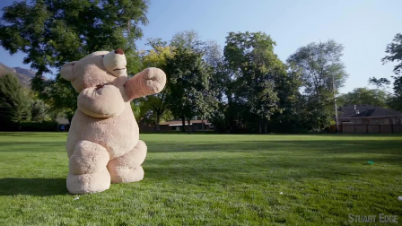 两米巨熊闯入健身房,场面失控了!