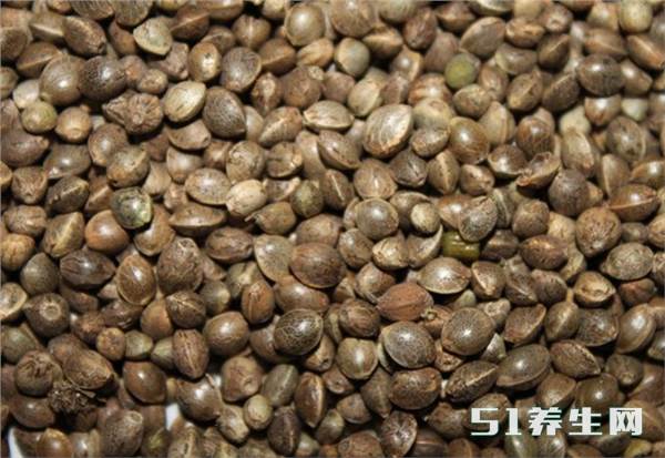 火麻仁的功效与作用 有什么禁忌_凤凰网健康_凤凰网