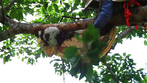 孩子问你时如何回答?