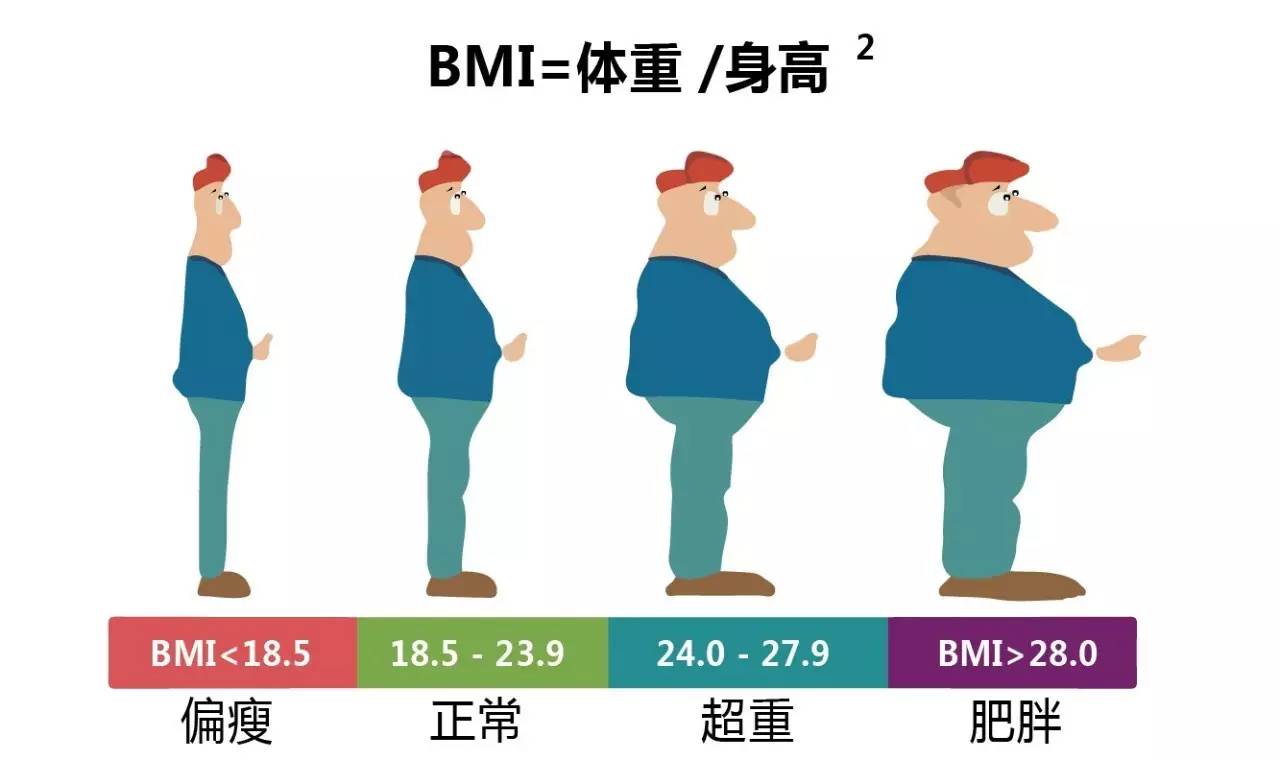 "迈不开腿"所致 什么才是肥胖 肥胖是指 成年男性体脂含量大于20%