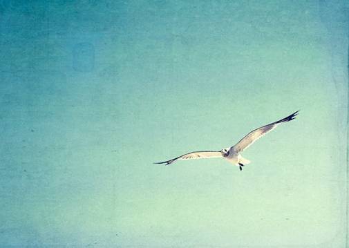 罗洛梅:完整人格的四项品质