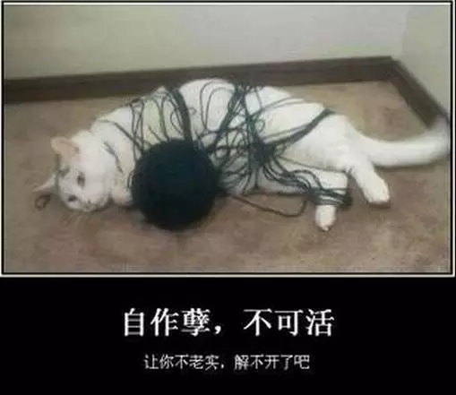 我不管了,让社会教你做人吧