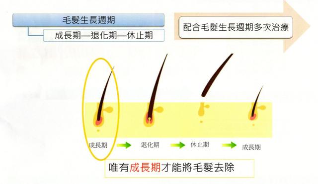 以前头发又粗又黑,现在却变得又细又软,原来是这个原因!