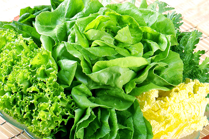 然续教你如何挑选绿叶蔬菜的三大妙招和误区